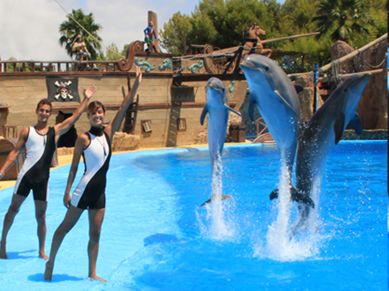 delfines show 5 4